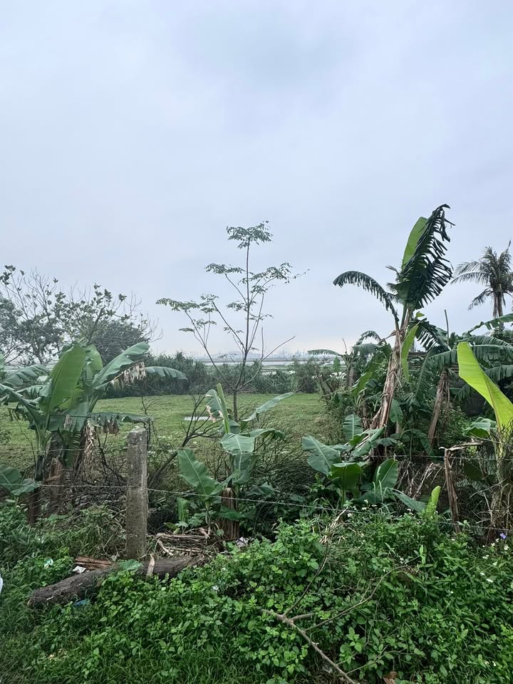 Đất nền Kỳ Thịnh 176m² giá 1.7 tỷ - Cơ hội đầu tư hấp dẫn!