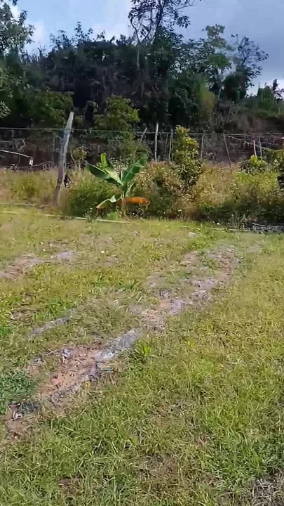 Đất nền 2520m² tại làng Bun, Xã Cửu An, giá 120 triệu - Cơ hội đầu tư tuyệt vời!