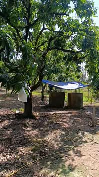 Đất vườn La Ngà 3000m² giá thỏa thuận - Cơ hội đầu tư tuyệt vời!