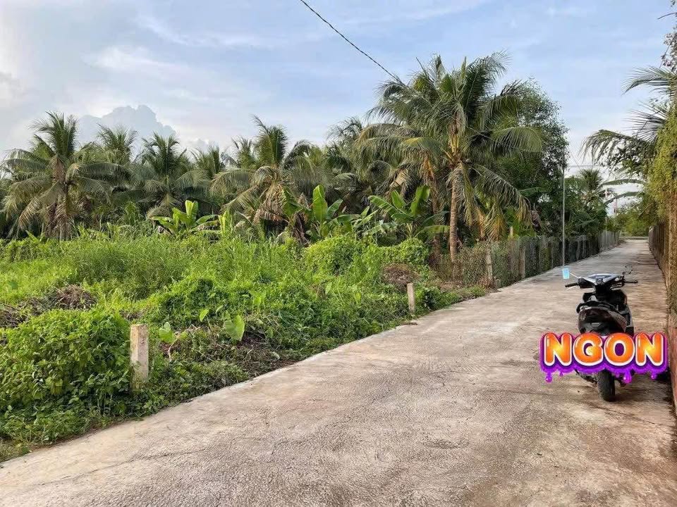 Đất nền Phú Tân, Bến Tre 135m² giá 1.29 tỷ - Cơ hội đầu tư hấp dẫn!