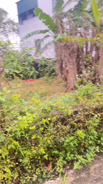 Đất thổ cư 154m² tại Đông Tân, Hà Huy Tập - Giá tốt 2.7 tỷ!