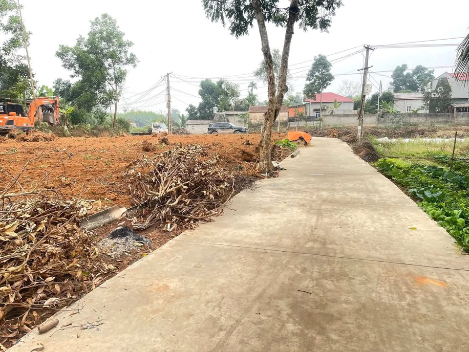 Đất nền Tân Đức, Phú Bình 200m² chỉ 400 triệu - Đầu tư ngay!