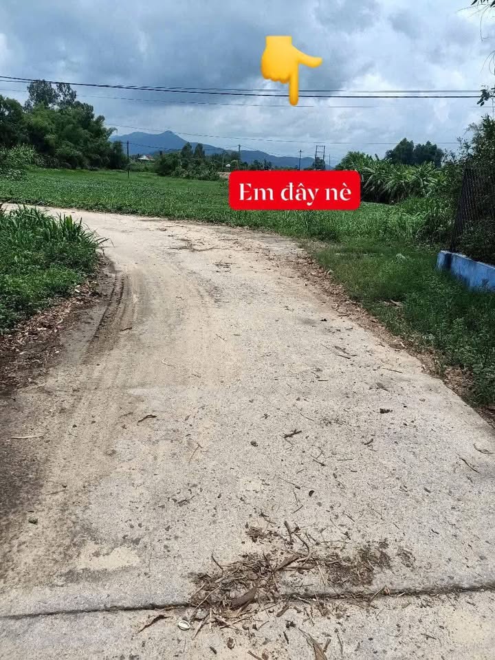 Đất nền bám bê tông 400m² tại Bình Tân, Tây Sơn - Chỉ 59 triệu!