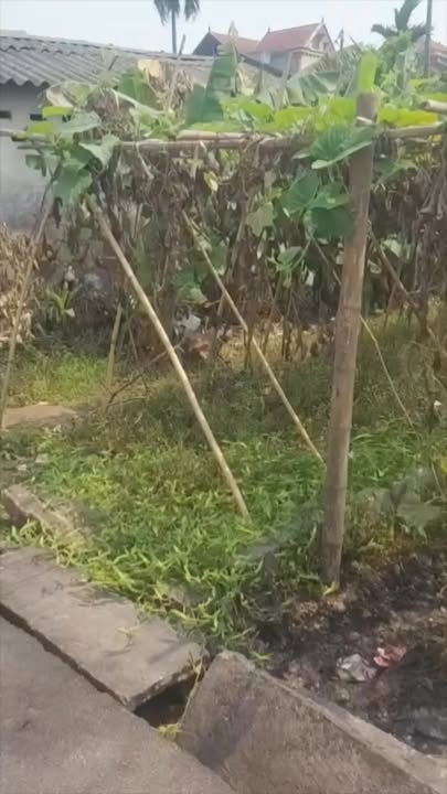 Đất Tân Dân, Khoái Châu 60,9m² giá 1,68 tỷ - Vị trí vàng, thuận tiện giao thông!