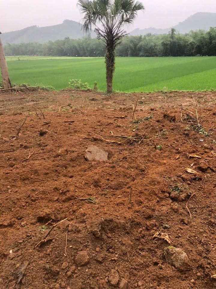 Lô đất 2.600m² Hưng Thi, Lạc Thủy, giá 2 tỷ - View cánh đồng tuyệt đẹp!