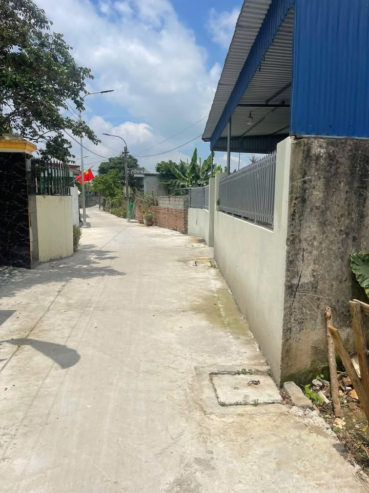 Đất nền đường thông An Dương Hải Phòng 700m² giá chỉ 7 tỷ - Phong thủy đẹp, đầu tư sinh lời!