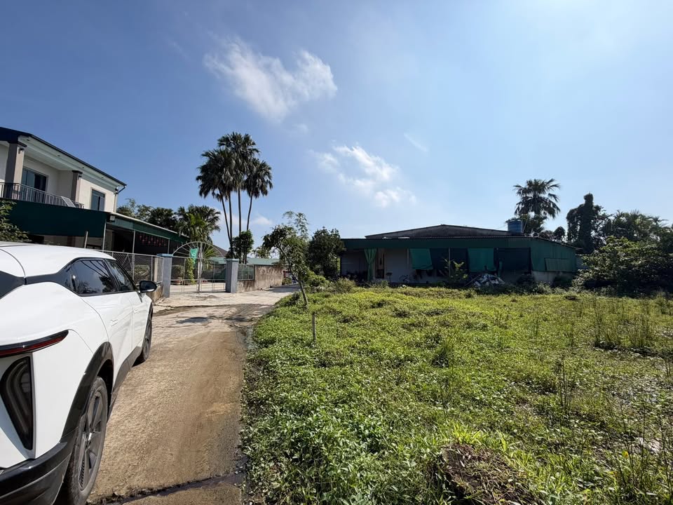 Đất nền TDP Đông Tân, Phường Đại Nài, 197m² giá 1.2 tỷ - Đầu tư sinh lời ngay!