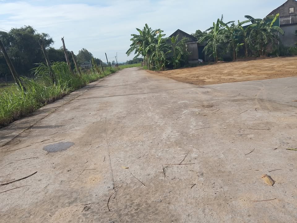 Đất nền Thịnh Trường, Nghi Lộc 155m² giá 800 triệu - Đường thông thoáng, thuận tiện!