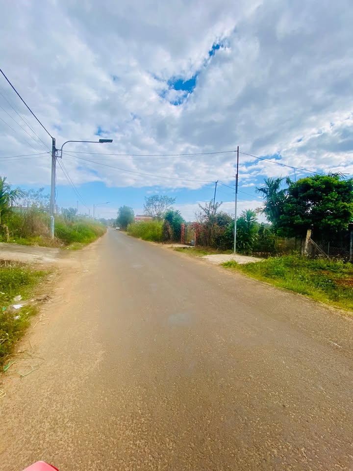 Đất mặt tiền Nguyễn Siêu TP Quy Nhơn 300m² giá 2.2 tỷ - Đầu tư sinh lời cao!