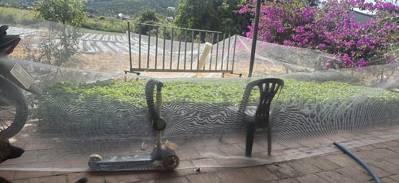 Farm Ninh Loan 1000m² giá 2.8 tỷ - Cần bán gấp nhà kính trồng ớt!