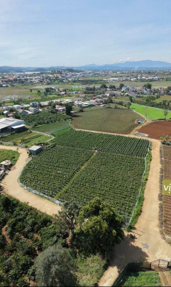 Đất nền xã Phú Hội, huyện Đức Trọng, Lâm Đồng 720m² giá 2.7 tỷ - Hướng phát triển tiềm năng!