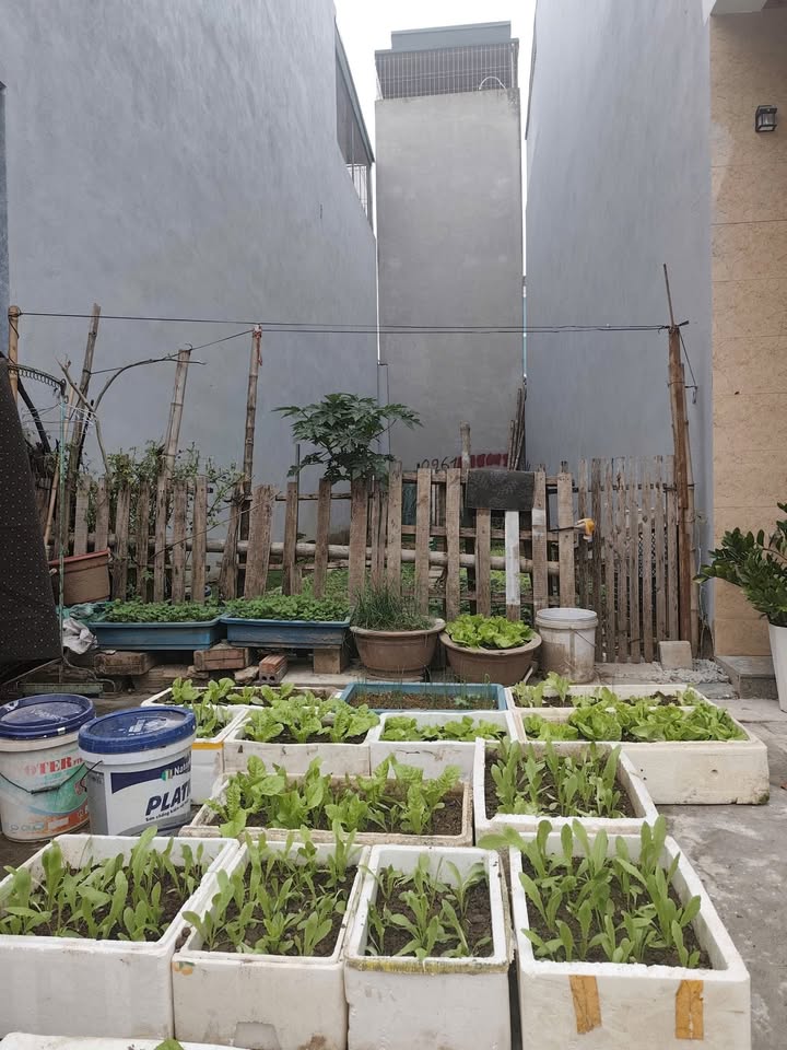 Lô đất đẹp 63m² tại Phường Đông Vệ - Gần Khách Sạn Mường Thanh - Giá chỉ 4 tỷ