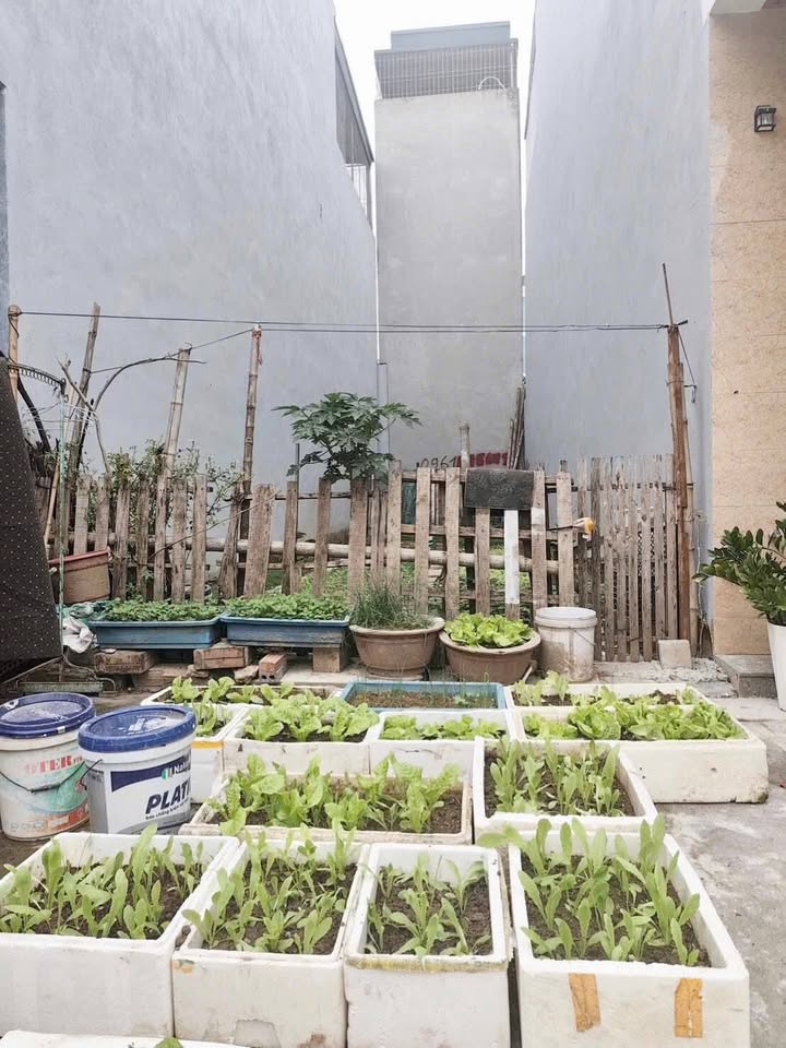 Đất nền Phường Đông Vệ, 63m² giá 4 tỷ - Vị trí trung tâm, giao thông thuận lợi!