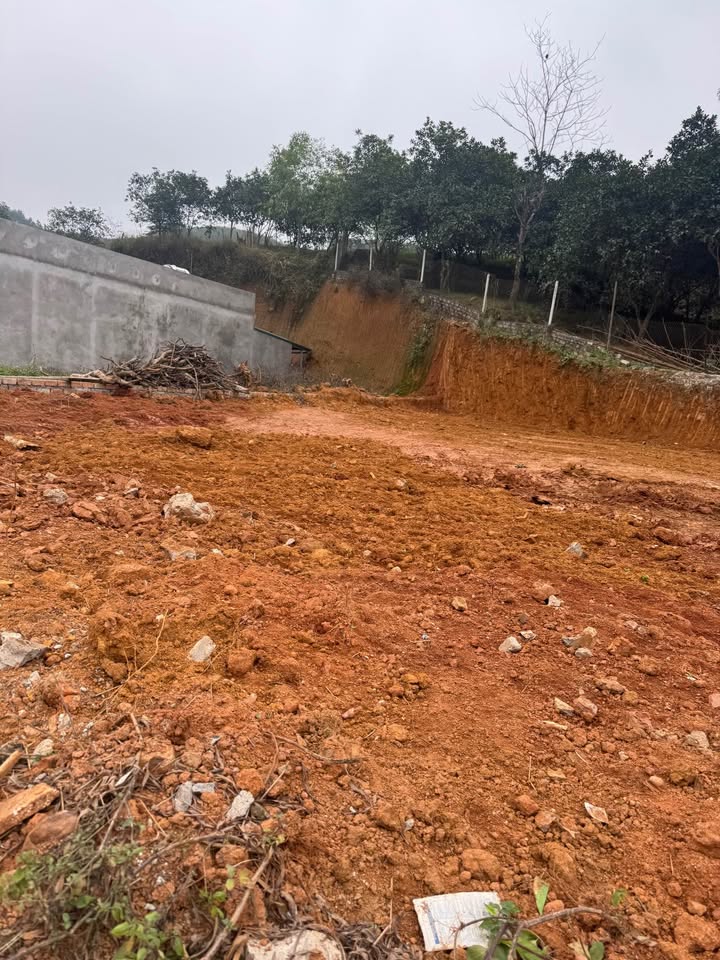 Đất nền Xã Bạch Hà, Huyện Yên Bình 155m² giá 600 triệu - Đầu tư sinh lời ngay!