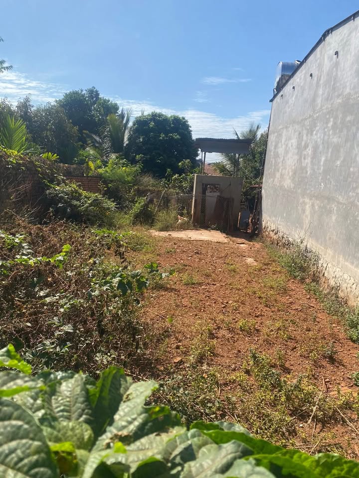 Đất nền Xã Quảng Tiến 224m² giá 1.25 tỷ - Đường chuẩn bị bê tông