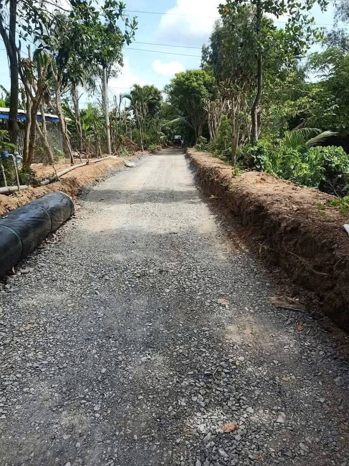 Đất nền xã Bình Thành, Huyện Thanh Bình, 239m² giá 420 triệu - Đầu tư lý tưởng!