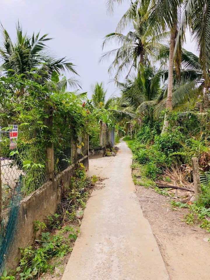 Đất nền 500m² tại xã Quới Thành, Châu Thành, Bến Tre - Giá chỉ 360 triệu - Sổ đỏ chính chủ!