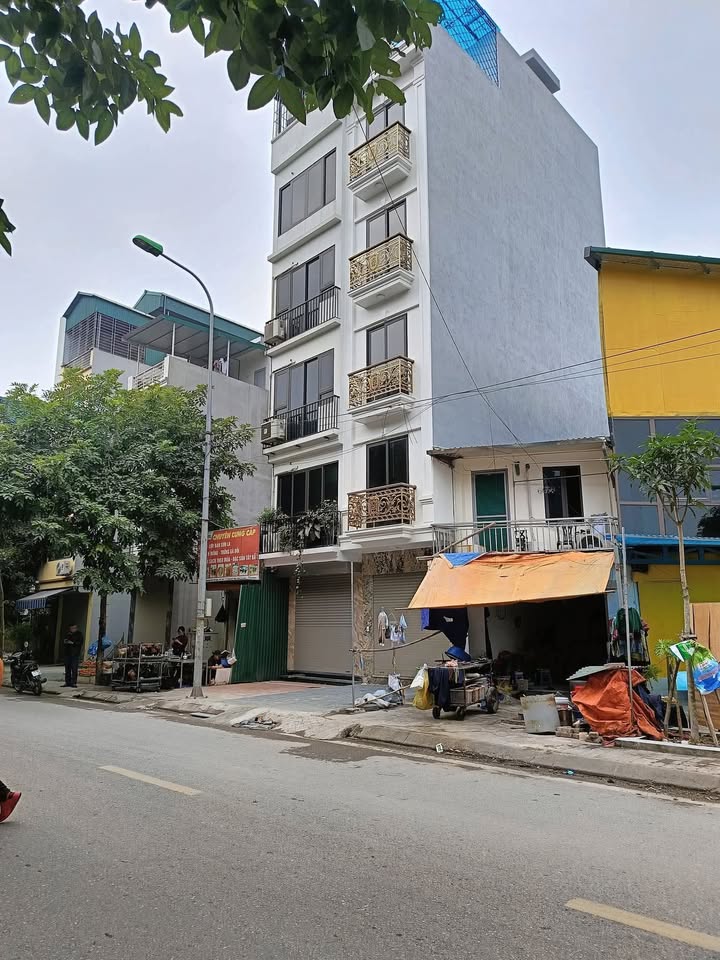 Đất nền Lưu Phái, Thanh Trì 60m² giá 14.5 tỷ - Tiềm năng sinh lời cao!