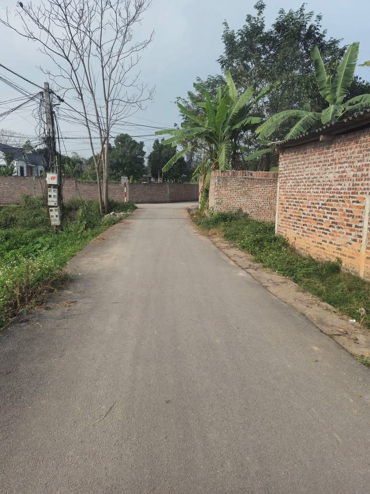 Đất thổ cư 100m² tại Yên Sơn, Tam Dương chỉ 1,3 tỷ - Cơ hội đầu tư tuyệt vời!