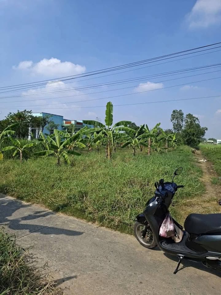 Đất thổ cư Gò Tre, Long Thuận 830m² giá 1.32 tỷ - Đầu tư sinh lời ngay!