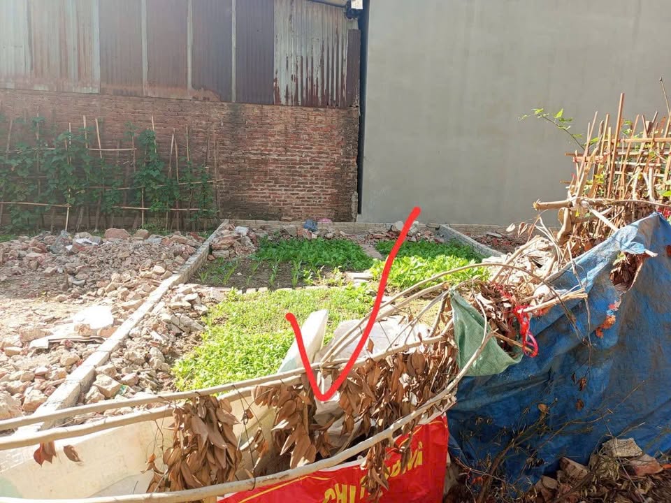 Nhà Phố Phù Khê Từ Sơn 44m² giá 1.6 tỷ - Đầu tư sinh lời tốt!