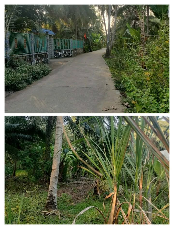 Đất nền Ấp 3 Long Mỹ 777m² giá 750 triệu - Thích hợp đầu tư ngay!