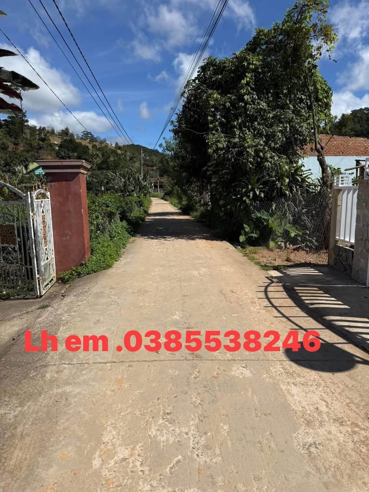 Đất nền Thị trấn D'Ran 190m² giá chỉ 850 triệu - Cơ hội đầu tư hiếm có!