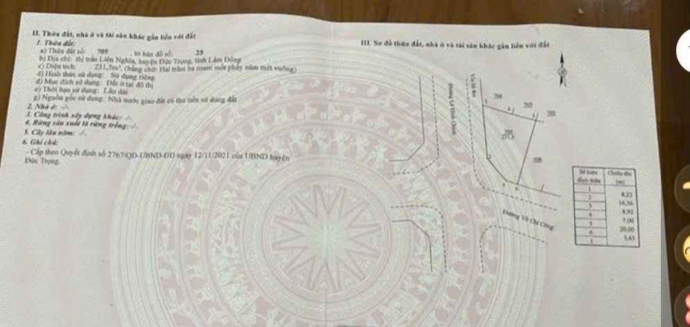 Đất nền Lê Đình Chinh 231m² giá 6.7 tỷ - Lô góc 2 mặt tiền, thuận tiện kinh doanh!