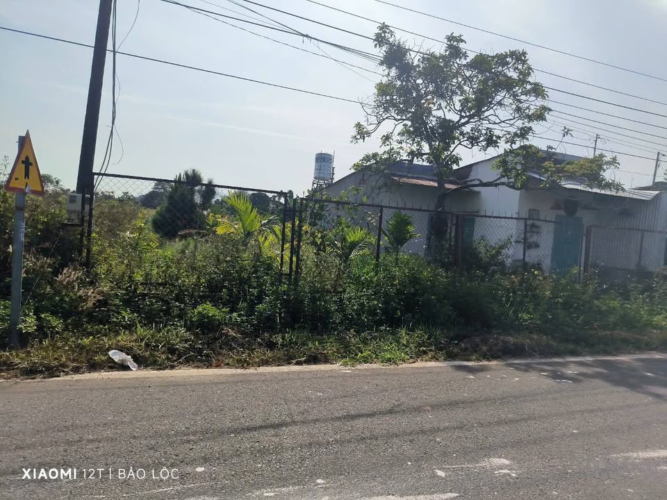 Đất nền mặt tiền đường Lê Thị Riêng, Bảo Lộc 1500m² giá 6.2 tỷ - Cơ hội đầu tư tuyệt vời!