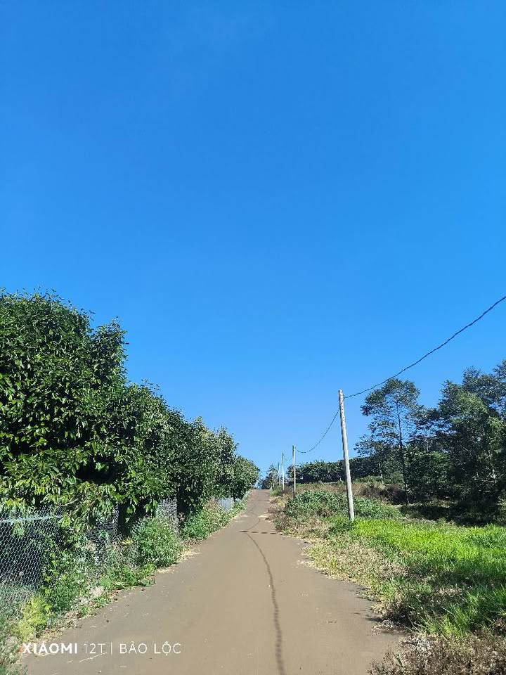 Đất nền B'lao Bảo Lộc 420m² giá 2.5 tỷ - Đầu tư sinh lời ngay!