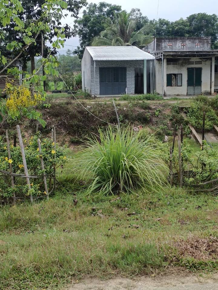 Nhà cấp 4 Đường vào Hồ Đạ Tẻh 160m² giá 500 triệu - Cơ hội đầu tư sinh lời!