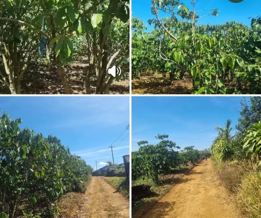 Đất nông nghiệp 28,800m² tại Xã Lộc Quảng - Giá chỉ 5.2 tỷ VND!