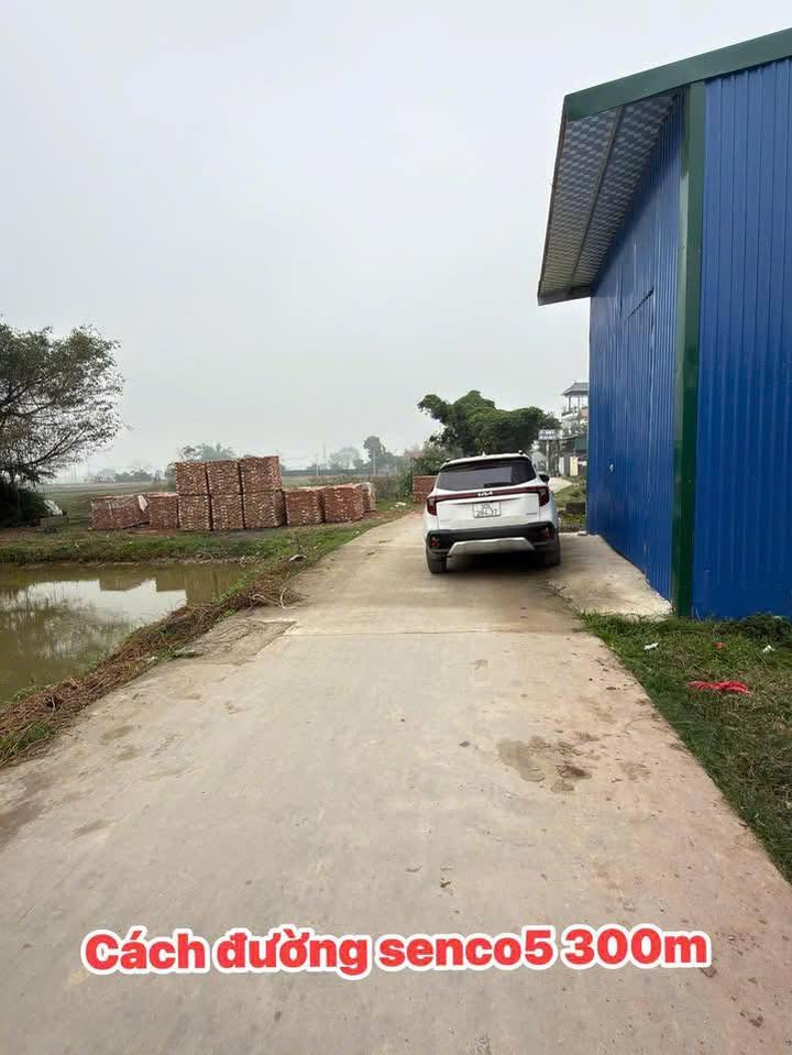 Đất nền thôn Bạch Nao, Tam Hưng, Thanh Oai 80m² - Sổ đỏ chính chủ, giá đầu tư tốt!