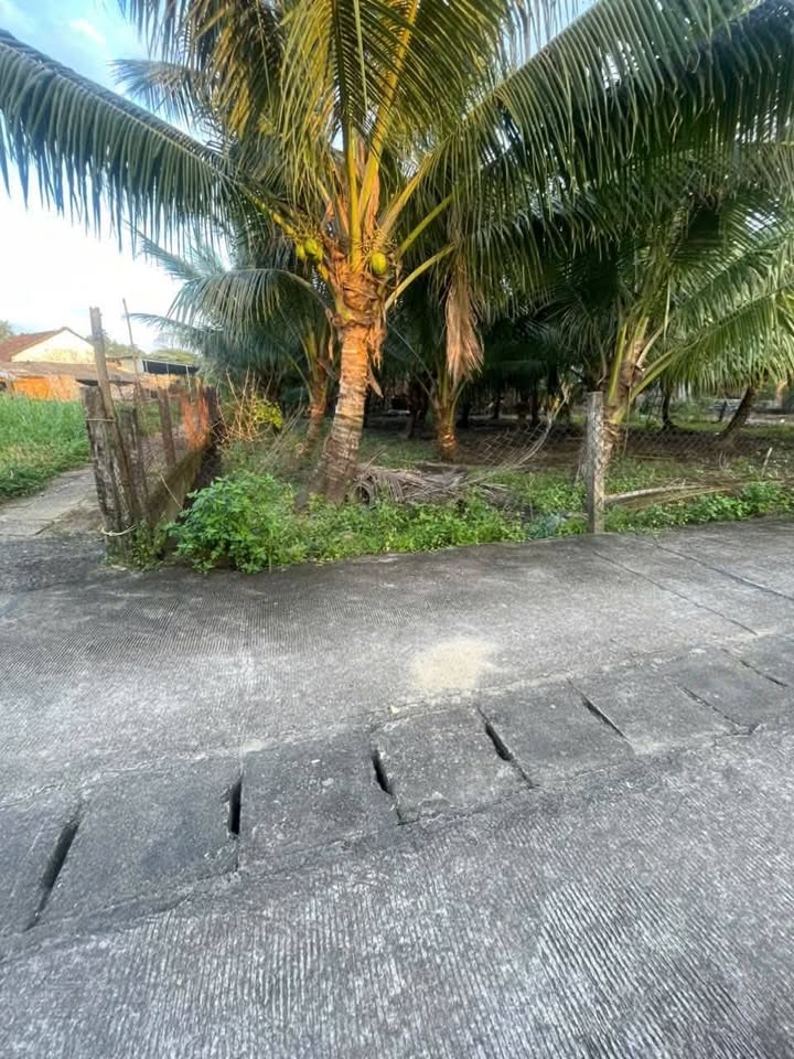 Đất ở Thị trấn La Hà, Huyện Tư Nghĩa, 100m² giá chỉ 5xx triệu - Cơ hội đầu tư hấp dẫn!