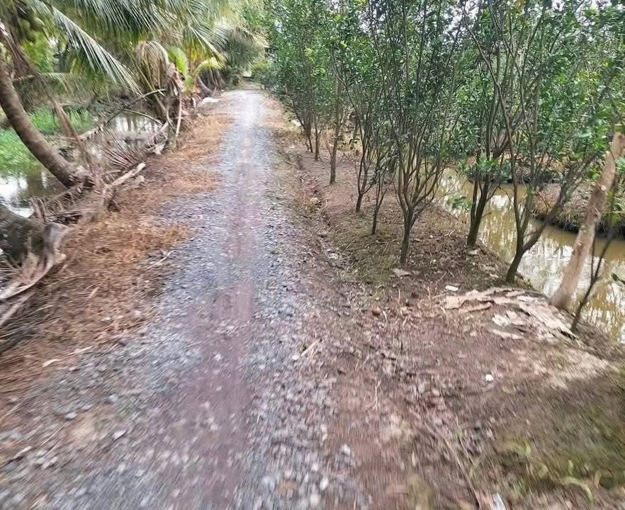 Đất 6000m² Xã Hiếu Thành, Vĩnh Long - Giá Tốt Chỉ 900 triệu