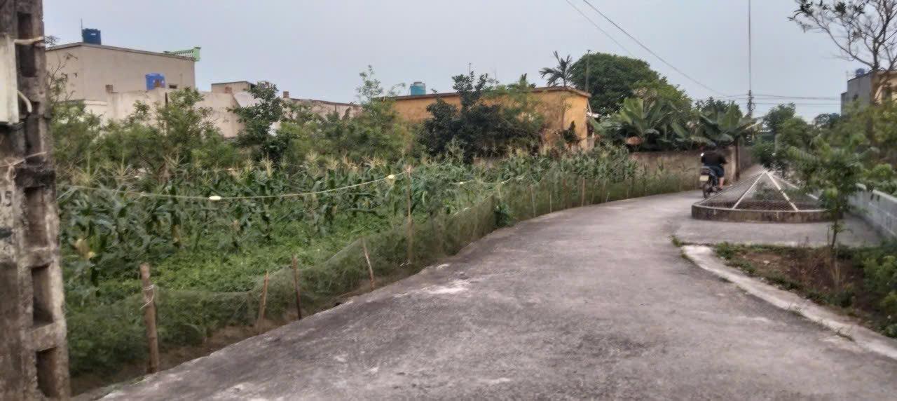 Đất nền 3 mặt tiền Xã Tây Ninh, Huyện Tiền Hải 156m² – Sổ đỏ trao tay chỉ vài trăm triệu!