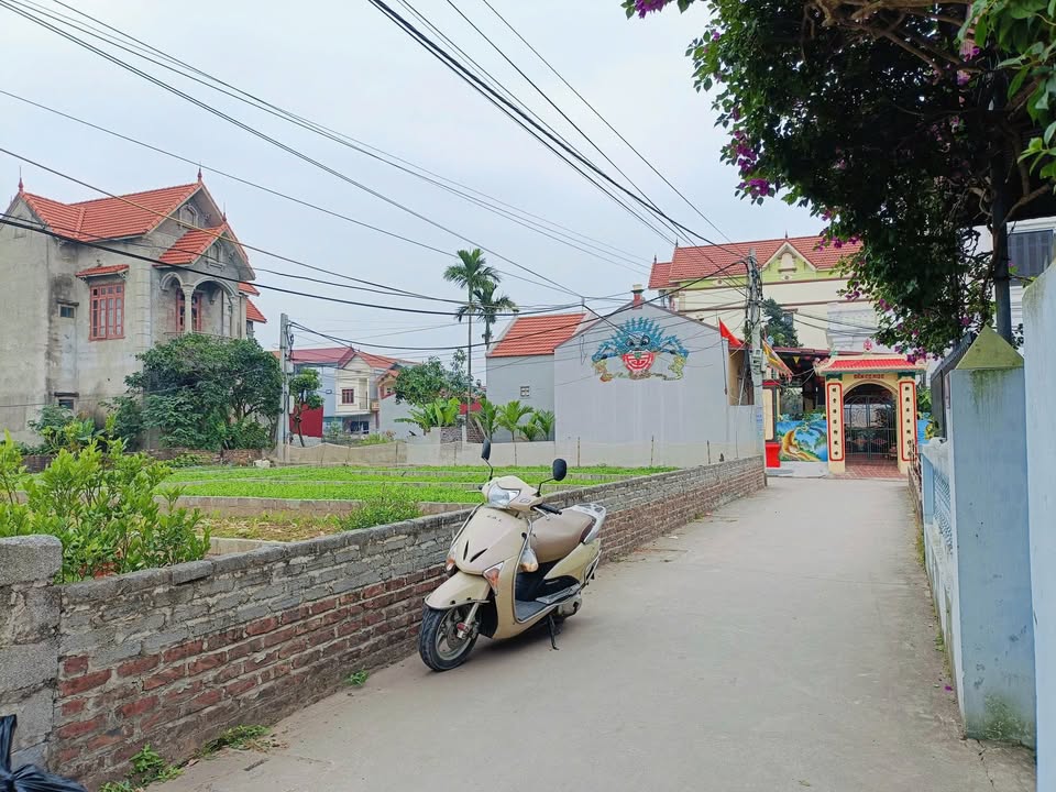 Đất nền Thư Phú, Thường Tín 80.6m² giá 4.03 tỷ - Đường ô tô đỗ cửa