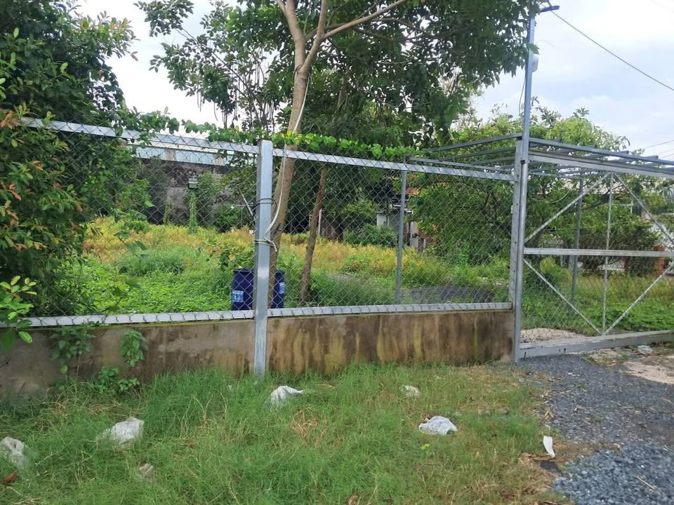 Đất vườn Bình Mỹ 1000m² giá 2.9 tỷ - Sổ hồng riêng, xe hơi vào tận nơi!