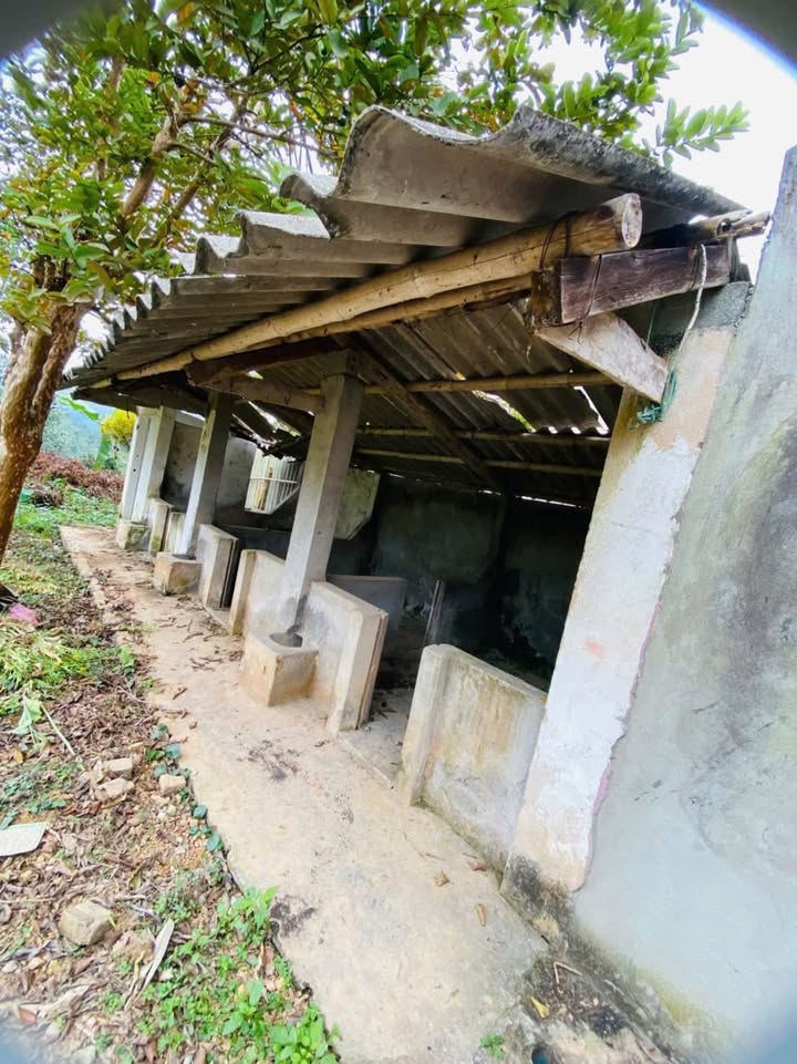 Nhà xinh thôn Tòng Xành 1, xã Cốc San, Lào Cai 322m² giá 1.25 tỷ - Sổ đỏ chính chủ