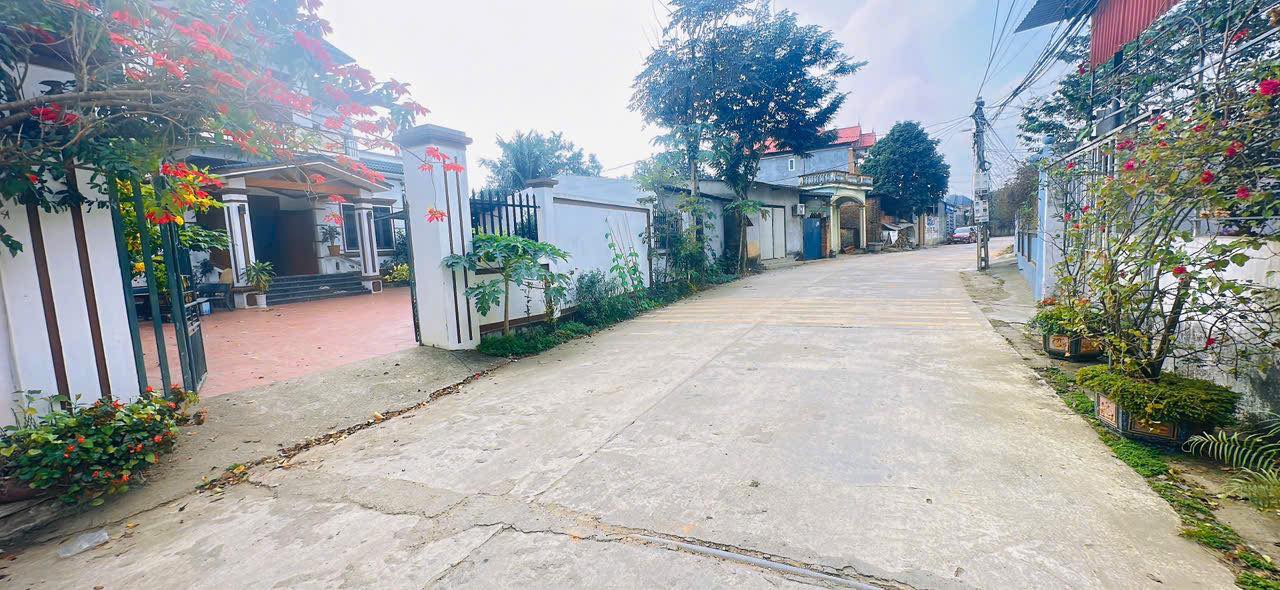 Đất thổ cư Hướng Đạo, Tam Dương 100m² giá 1.5 tỷ - Đầu tư lý tưởng!