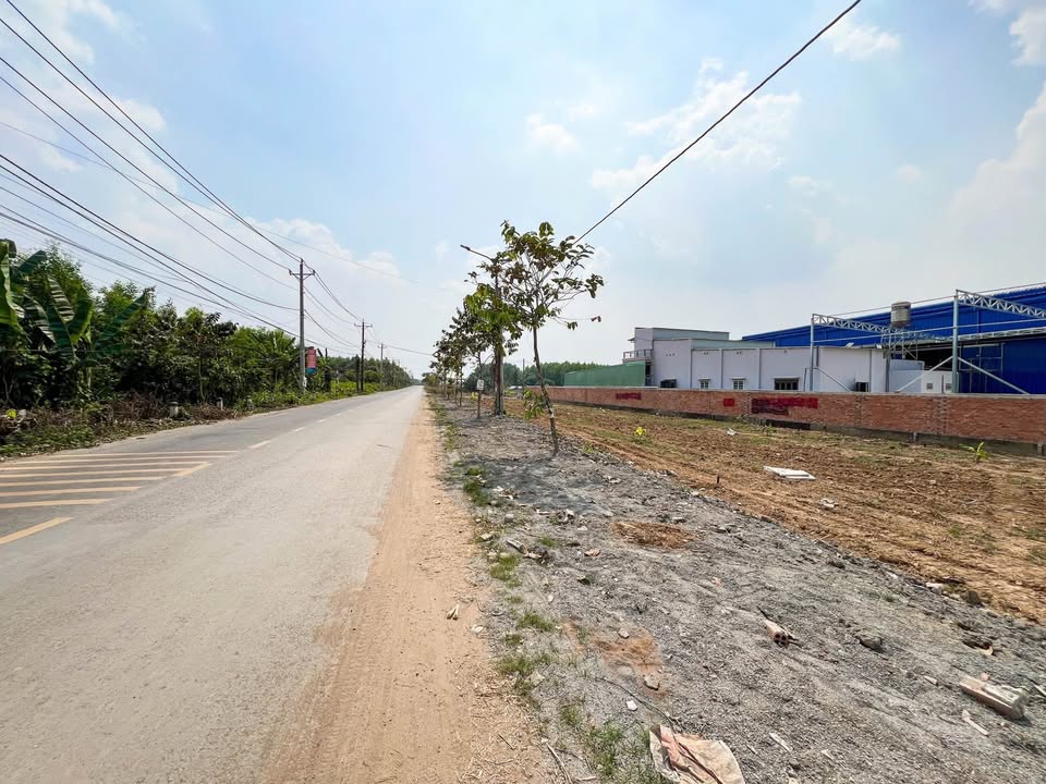 Lô đất mặt tiền Hương Lộ 7, xã Tân Bình, 100m² - Cơ hội đầu tư hấp dẫn!