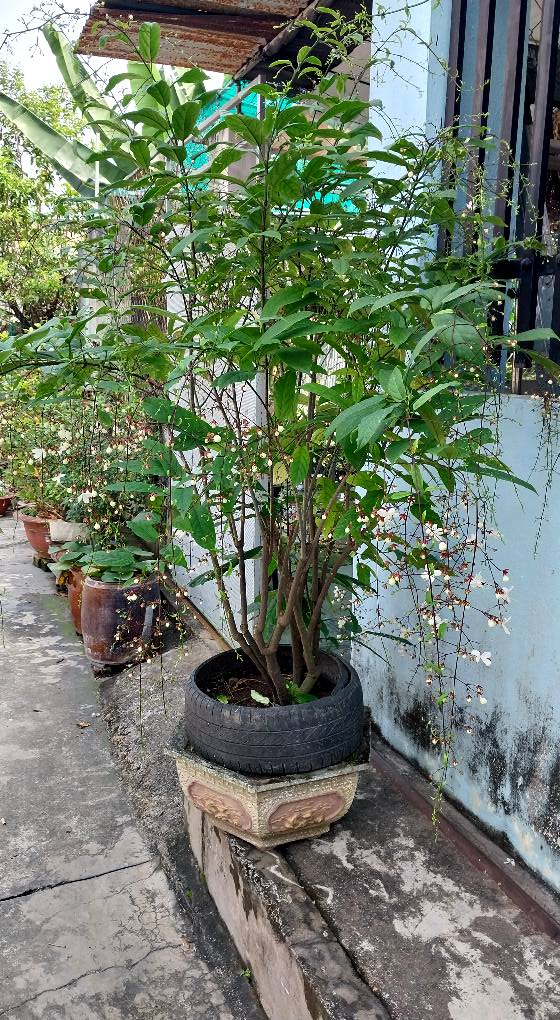 Đất nền 500m² tại Trảng Dài, Đồng Nai - Pháp lý rõ ràng, giá tốt!