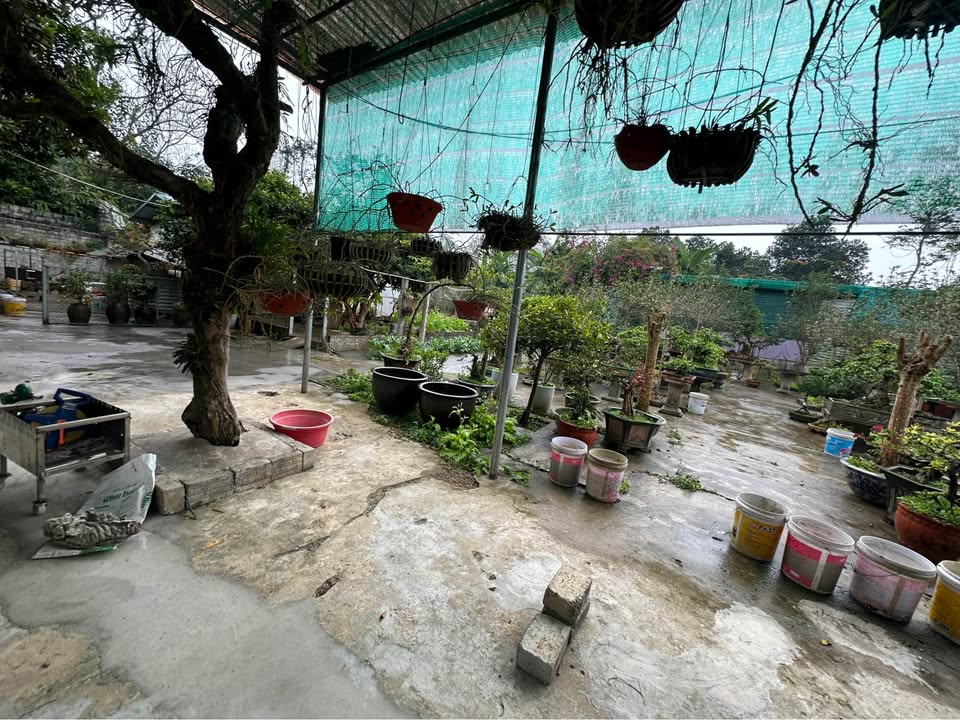 Đất nền 3 lô liền kề TDP Trung Môn 14, Phường Minh Xuân - Giá tốt đầu tư chỉ 799 triệu/lô!