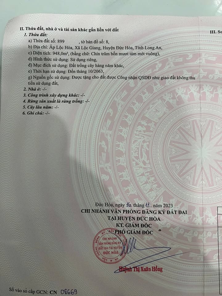 Đất vườn mặt tiền đường Đan, Quận 8, 960m² giá 2.1 tỷ - Đầu tư sinh lời ngay!