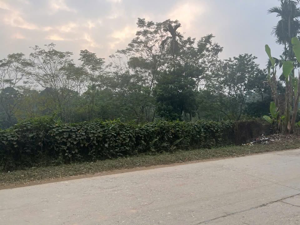 Đất thổ cư khu 3 Phú Nham, Phù Ninh 300m² giá 2 tỷ - Nở hậu, mặt tiền 12m86!