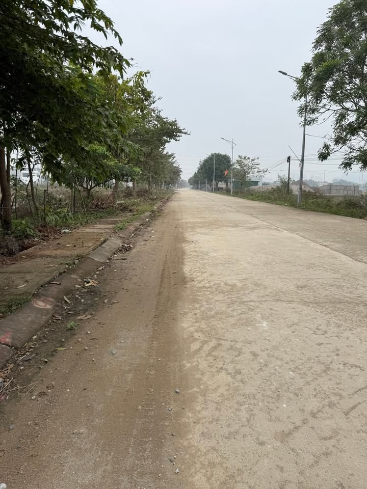 Đất nền liền kề Nho Quan 200m² giá thỏa thuận - Đầu tư sinh lời ngay!