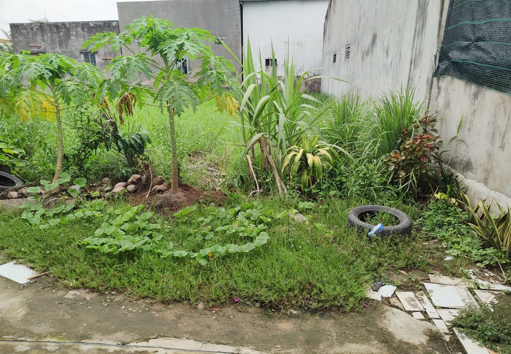 Đất nền Phú Khương Bến Tre 130,7m² giá 850 triệu - Đầu tư sinh lời ngay!