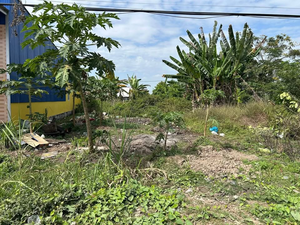 Đất nền Bạc Liêu 208m² giá 1.28 tỷ - Sổ hồng chính chủ, thương lượng ngay!