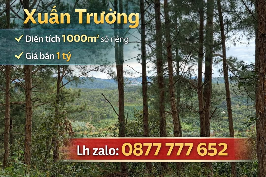 Đất nền Phường Xuân Trường, Đà Lạt 1.000m² giá 1 tỷ - View săn mây tuyệt đẹp!