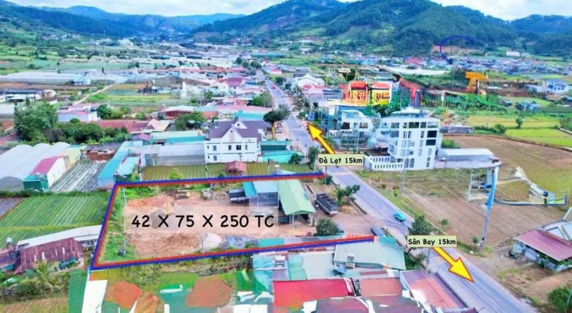 Đất mặt tiền QL20 Hiệp An 3150m² giá 25.2 tỷ - Cơ hội đầu tư lý tưởng!